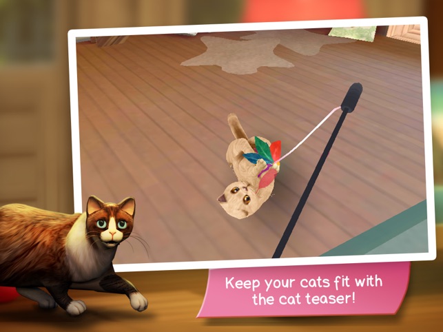 cathotel care for cute cats on the app store cathotel care for cute cats on the app store