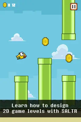 Game screenshot SALTR Birdie hack