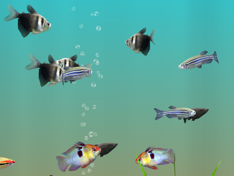 Screenshot #6 pour MyLake 3D Aquarium