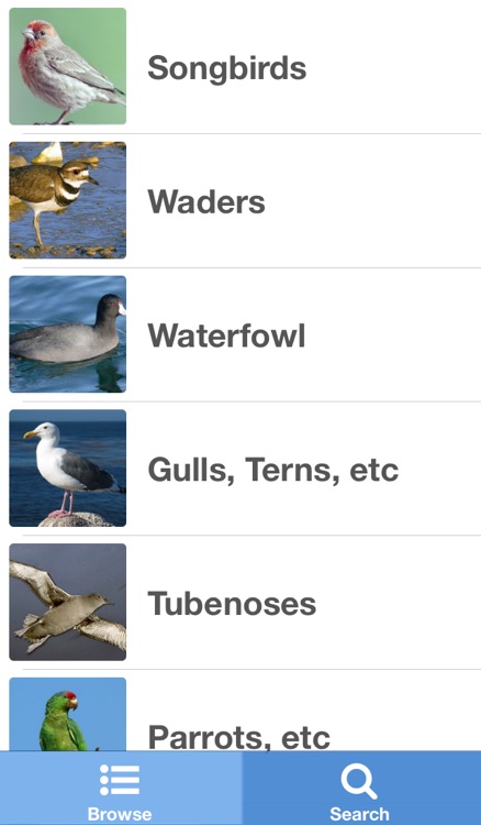 Regional Birds screenshot-4