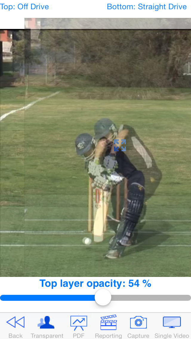 Cricket Coach Plus Screenshot