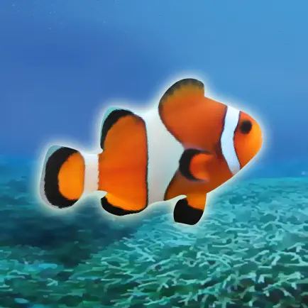 Clownfish Tap Cheats