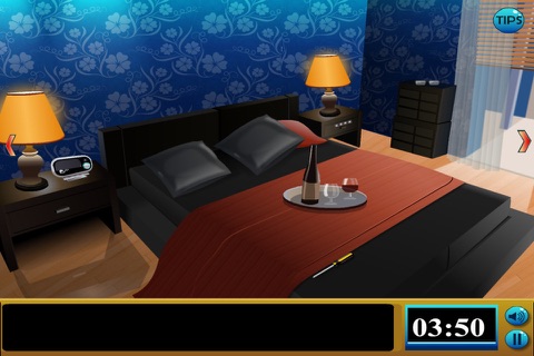 Room Series 9 screenshot 4