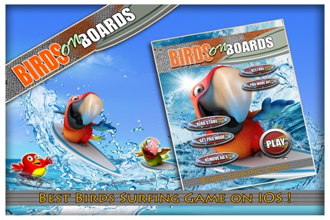 Birds on Boards FREE : Tiny Parrots Water adventure Race screenshot 2