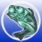 This application is for beginner to pro anglers, to help find and catch more fish