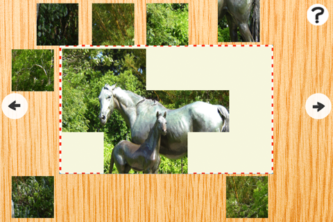 Amazing Animal Horse Puzzle With Ponies and Filly For Kids and Rid-ing Lovers! Free Learn-ing Game-s screenshot 3