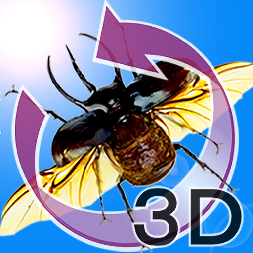 The 3D Insects Rhinoceros beetles and Stag beetles