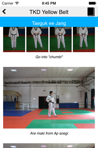 The Taekwondo Yellow Belt screenshot 3