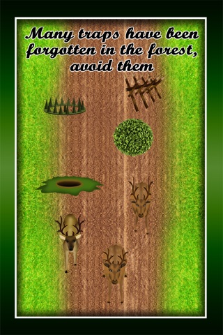 Hunting Deer Forest Race : The gun hunt for the big antler - Free Edition screenshot 3