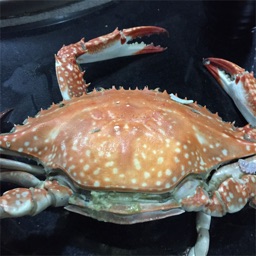 冒险超人--复活经典，久违的感觉