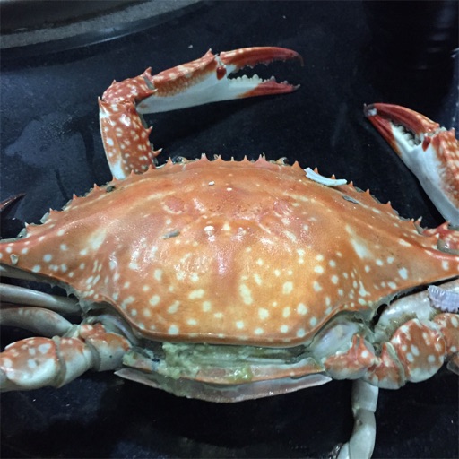 冒险超人--复活经典，久违的感觉