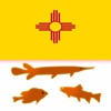 New Mexico Lakes - Fishing