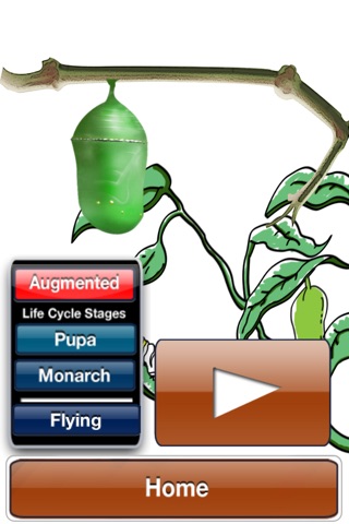 Life of a Monarch Butterfly screenshot 2