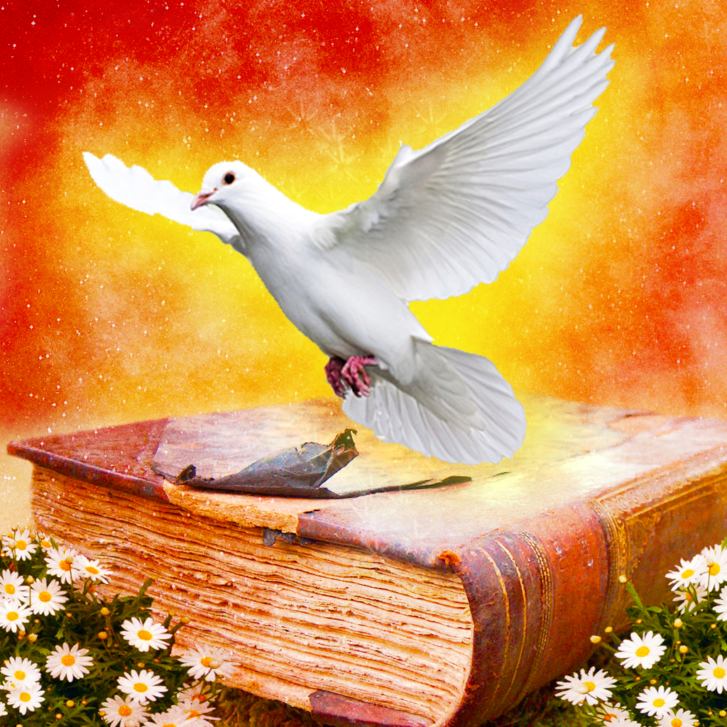 Get Self-Discovery Cards - Daily Guidance and Messages from Your Inner Self for iOS, iPhone, iPad Aso Report