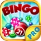 Bingo Nice Pro - Play Online Casino and Number Card Game for FREE !