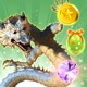 Lucky Dragon Kingdom Adventure - Find the magic ball to save city z app icon - Games app for iPhone