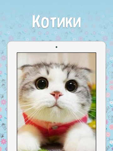 Screenshot #6 pour Обои на смартфон - топ темы, фон и живые картинки на айфон