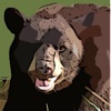 Bear 's -Sound Effects, Ringtones and Alerts