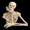 The Human Anatomy application is a SIMPLE educational quick reference app that contains the information of nineteen different biological systems