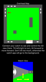3D Wearable Maze screenshot 1