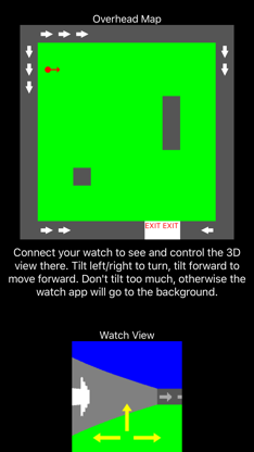 3D Wearable Maze screenshot 1