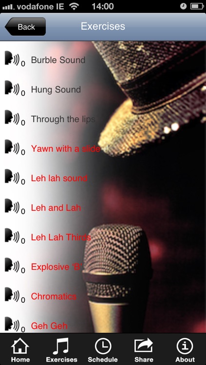 VoixTek Voice Training Lite