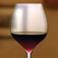 ワイン手帳HD-Wine Encyclopedia For Gourmet-