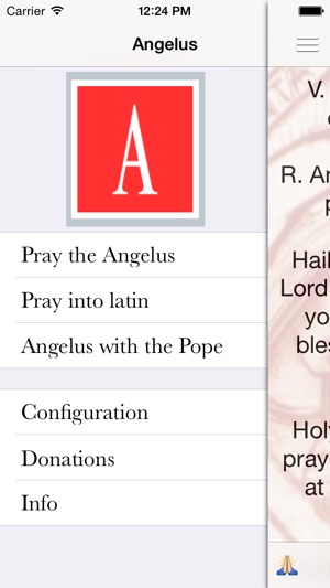 Angelus Pro(圖2)-速報App