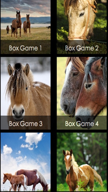 Little Pony Puzzle HD screenshot-3