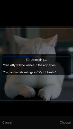 Cute Kitties(圖3)-速報App