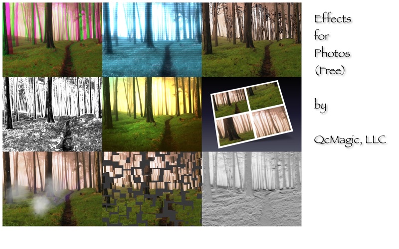 Screenshot #2 pour Effects for Photos (Free)