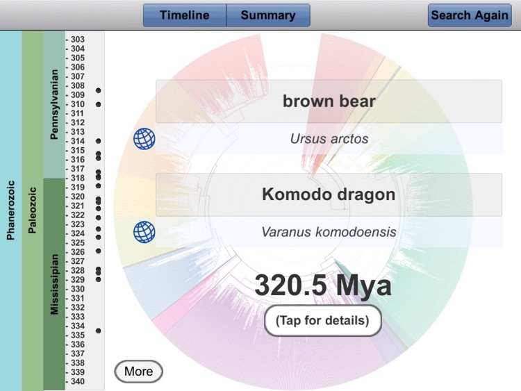 TimeTree HD