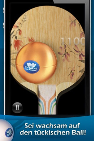 PingPongSolo screenshot 4