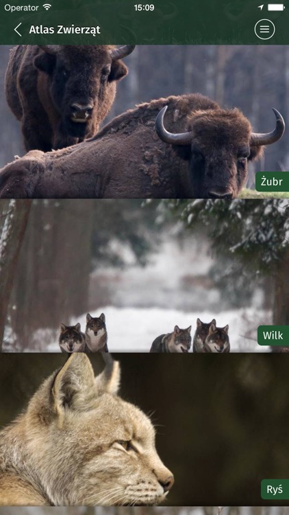 Białowieski Park Narodowy