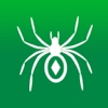 iSpider Solitaire