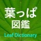 葉っぱ図鑑 - Leaf Dictiona...