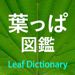 葉っぱ図鑑 - Leaf Dictionary - 