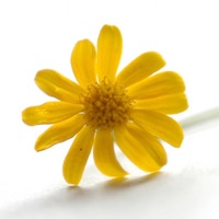 NaturoGuide : Le guide santé à base de produits naturels [Gratuit] messages.notwork