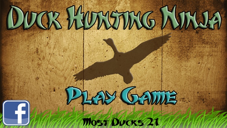 Duck Hunting Ninja