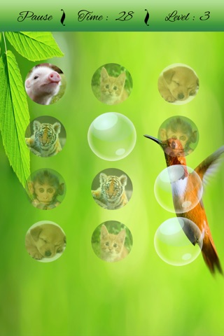 Cute Animals Matching Game screenshot 4