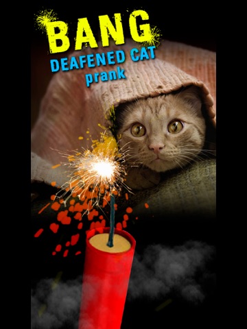 Screenshot #6 pour Bang Deafened Cat Prank