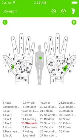 Game screenshot Reflexology Chart (Foot & Hand) hack