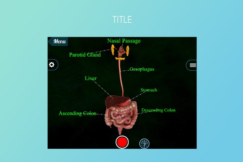 VR Human Digestive System screenshot 2