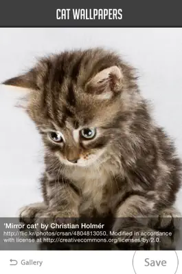 Game screenshot Cat Wallpapers! apk