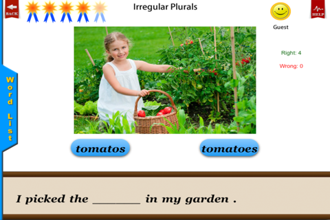 Irregular Plurals - English Language Art Grammar App screenshot 2