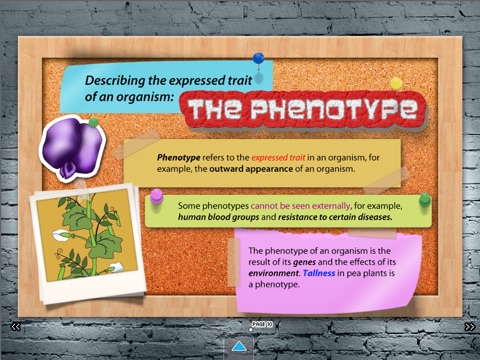 Heredity (School) screenshot 4