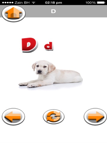 Screenshot #5 pour ABCD Learning cards Lite