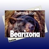Postcards from Bearizona
