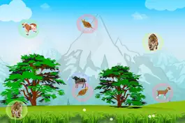 Game screenshot TalksToBirds mod apk