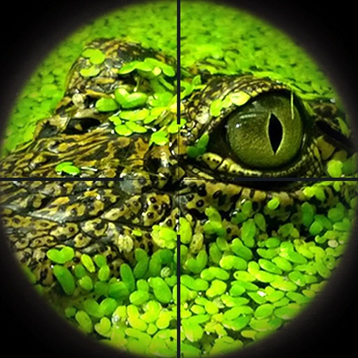 American Crocodile Swamp Hunt: Swampy Water Alligator Hunting Simulator FREE